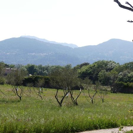 Solliès-Pont Le Charme D'Une Vieille Bastide Provencale المظهر الخارجي الصورة