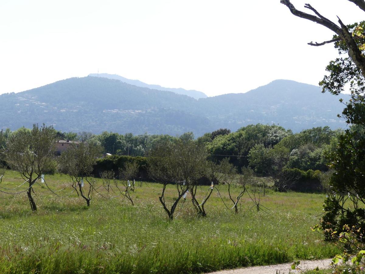 Solliès-Pont Le Charme D'Une Vieille Bastide Provencale المظهر الخارجي الصورة