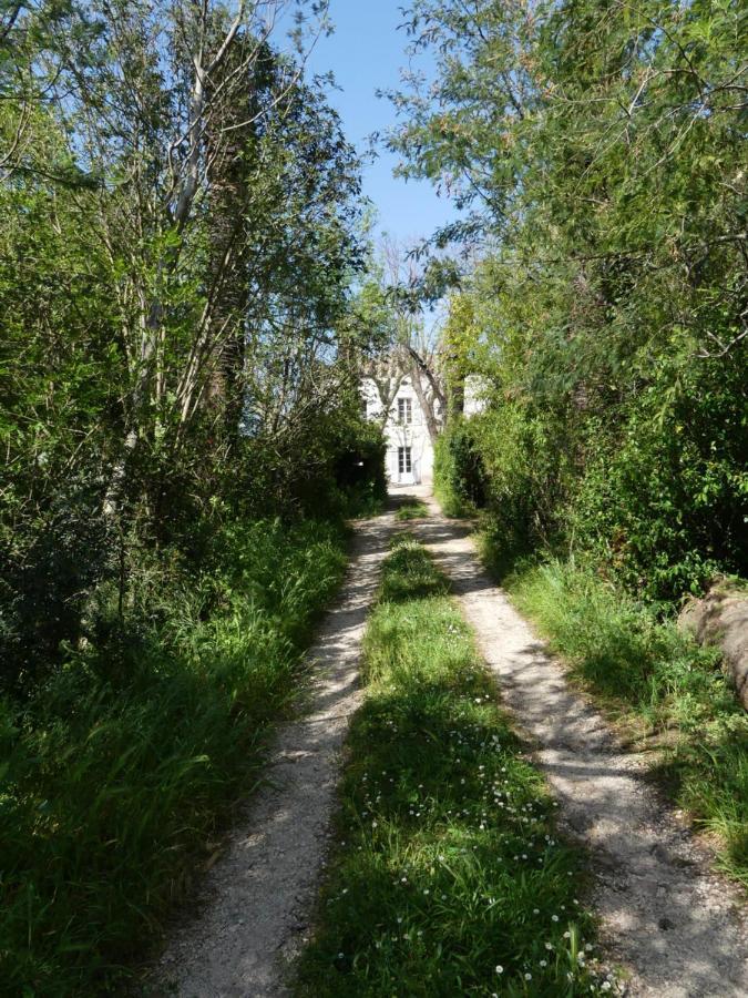 Solliès-Pont Le Charme D'Une Vieille Bastide Provencale المظهر الخارجي الصورة