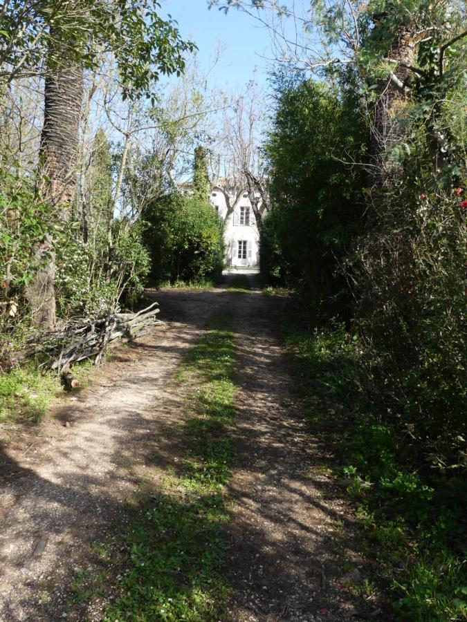 Solliès-Pont Le Charme D'Une Vieille Bastide Provencale المظهر الخارجي الصورة
